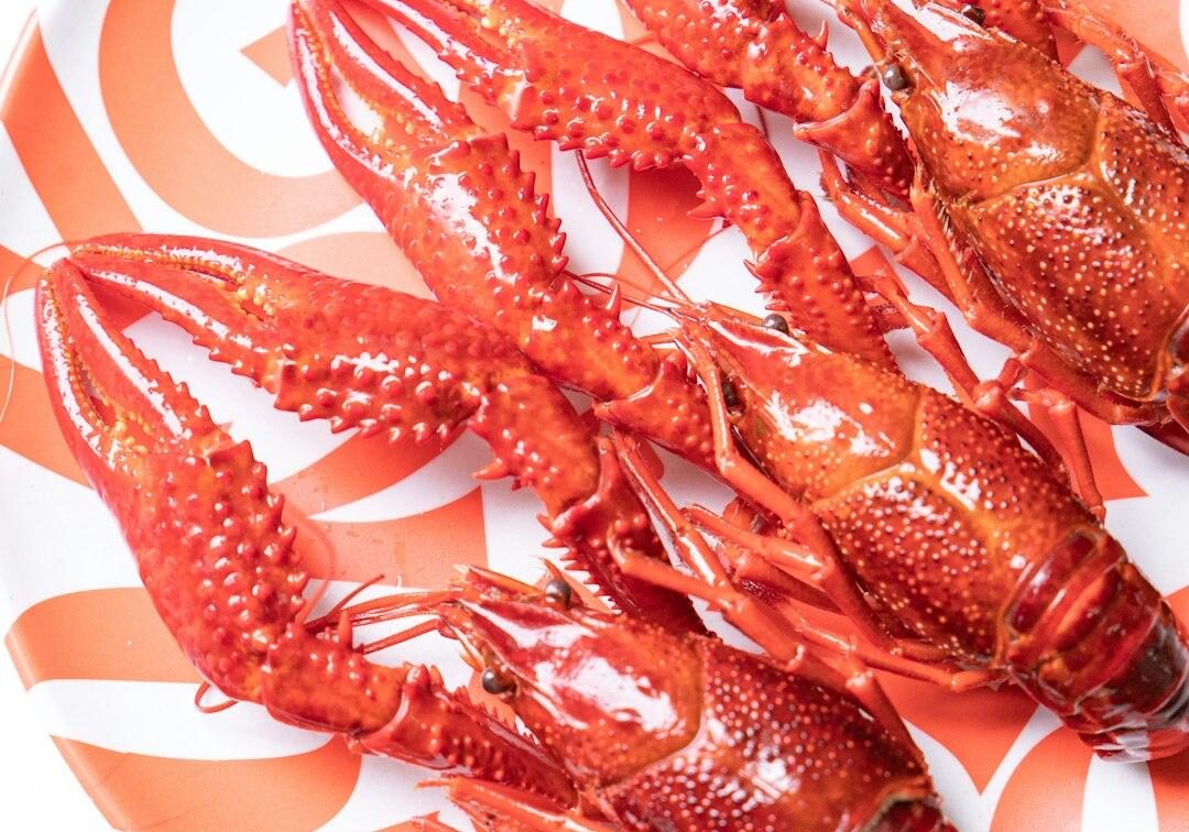 5784ed3e-ae2b-4572-852c-8f1f5851465d